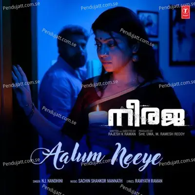 Aalum Neeye - N.J. Nandhini album cover 