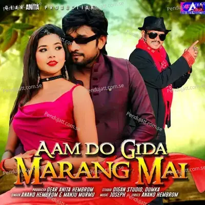 Aam Do Gida Marang Mai - Anand Hembrom album cover 