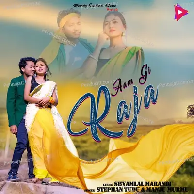 Aam Gi Raja - Stephan Tudu album cover 