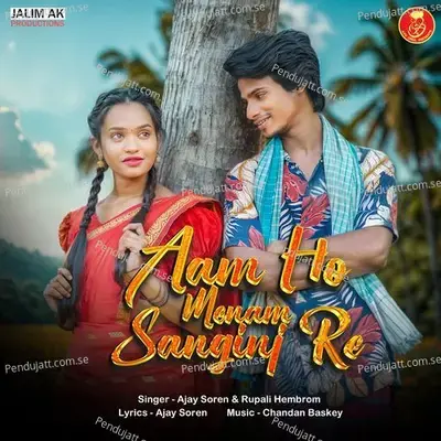 Aam Ho Menam Sanginj Re - Ajay Soren album cover 