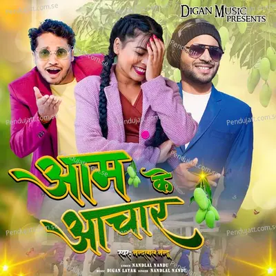 Aam Ke Aachar - Nandlal Nandu album cover 