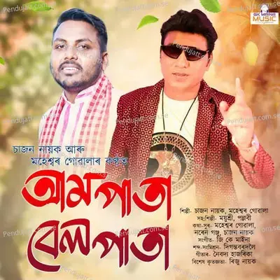 Aam Pata Bel Pata - Sajan Nayak album cover 