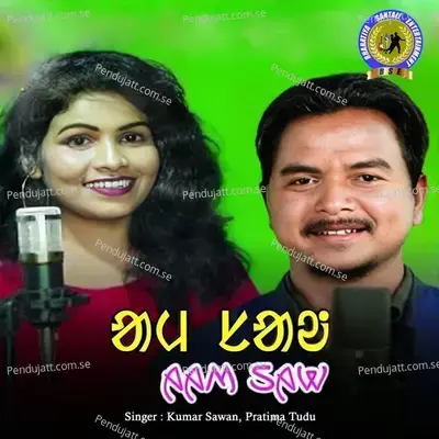 Aam  Saw - Kumar Sawan album cover 