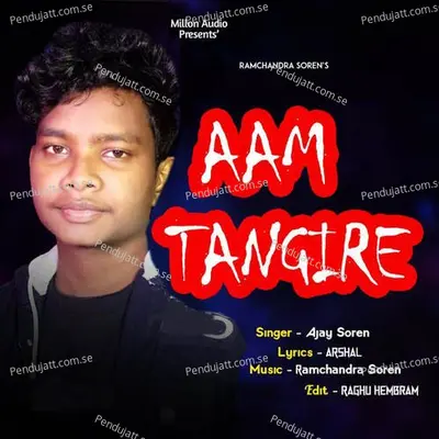 Aam Tangire - Ajay Soren album cover 