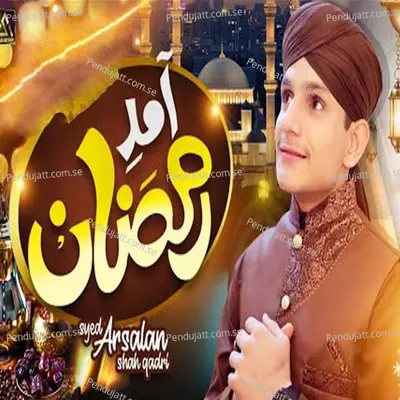 Hasbi Rabbi Jallallah - Syed Arsalan Shah Qadri album cover 