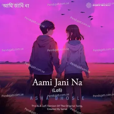 Aami Jani Na - Sanaï album cover 