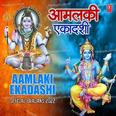 Jai Jai Satyanarayan Swami - Anuradha Paudwal album cover 