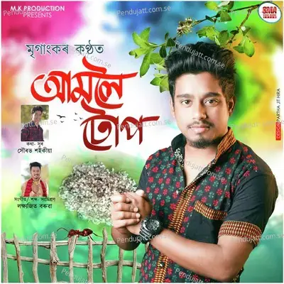 Aamloi Tup - Mriganka Borah album cover 