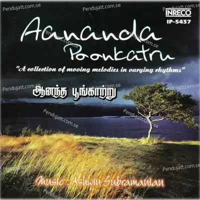 Puthiya Ragam - Ashwin Subramanian album cover 