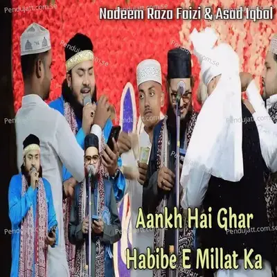 Aankh Hai Ghar Habibe E Millat Ka - Nadeem Raza Faizi album cover 