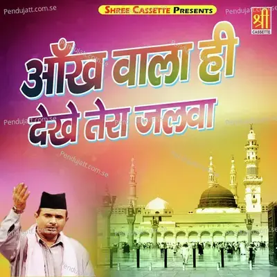 Aankh Wala Hi Dekhe Tera Jalwa - Zaheer Mian cover album