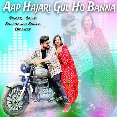 Aap Hajari Gul Ho Banna - Salim Shekhawas album cover 