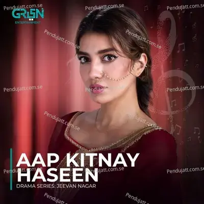 Aap Kitnay Haseen - Sahir Ali Bagga album cover 