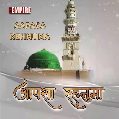 Aapasa Rehnuma - Yusuf Ansari album cover 