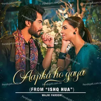 Aapka Ho Gaya - Wajhi Farooki album cover 