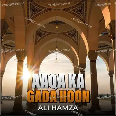 Aaqa Ka Gada Hoon - Ali Hamza album cover 