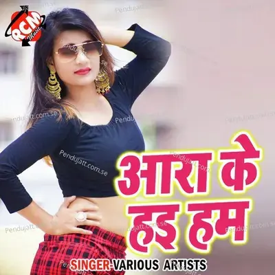 Bhaiya Ke Bari Tin Go Sali - Niju Nirmal album cover 