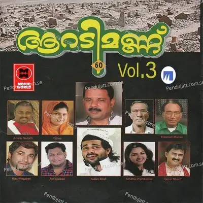 Papa Bharam - Firos Nadhapuram album cover 