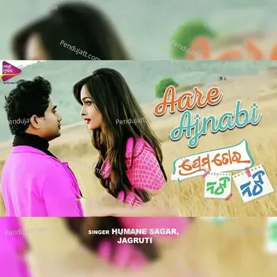 Aare Ajnabi - Humane Sagar album cover 