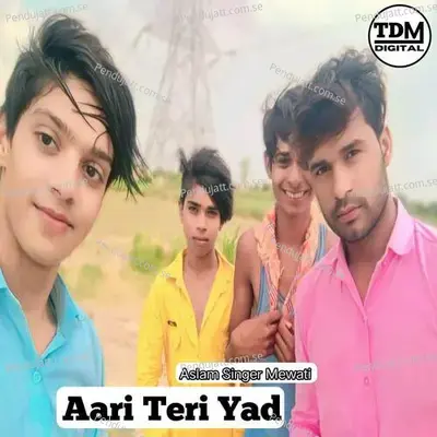 Aari Teri Yad - Tahseem Dehangal album cover 