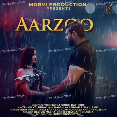 Aarzoo - Vinay Kumar album cover 