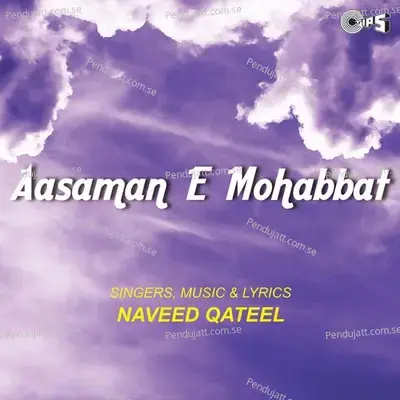 Ik Tum Jo Mil Gaye Ho - Naveed Qateel album cover 