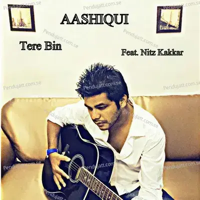 Tere Bin - Nitz Kakkar album cover 