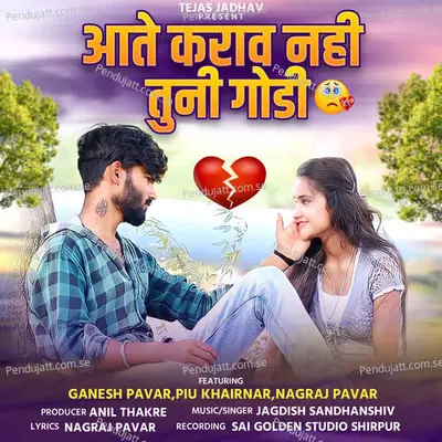 Aate Karav Nahi Tuni Godi - Jagdish Sandhanshiv album cover 