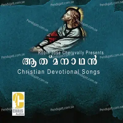 Sowdaryathin - Binoy Chacko album cover 