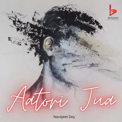 Aatori Jua - Navajeet Dey album cover 