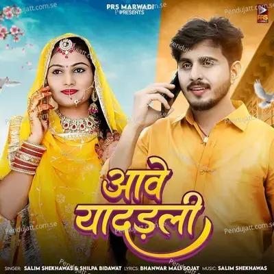 Aave Yaaddli - Salim Shekhawas album cover 