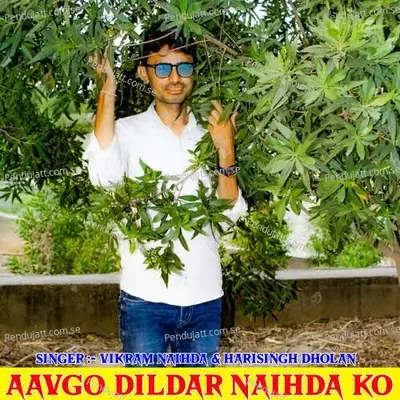 Aavgo Dildar Naihda Ko - Vikram Naihda album cover 