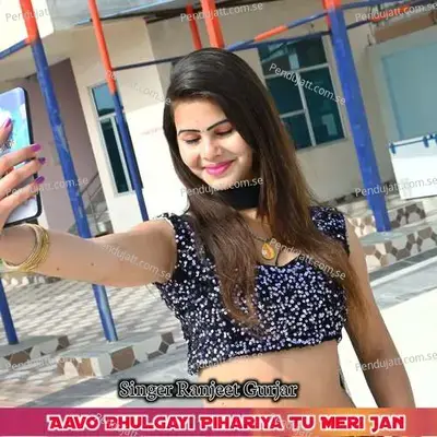 Aavo Bhulgayi Pihariya Tu Meri Jan - Ranjeet Gurjar album cover 