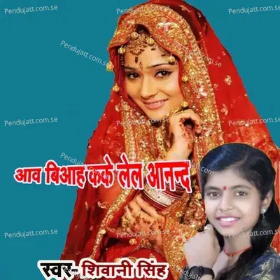 Aawa Biaah Kake Lela Anand - Shivani Singh album cover 