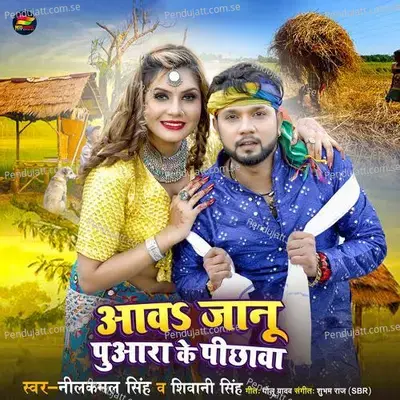 Aawa Janu Puwara Ke Pichwa - Neelkamal Singh album cover 