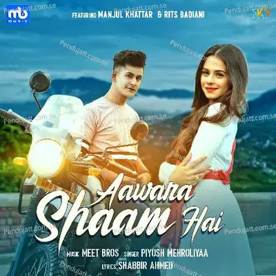 Aawara Shaam Hai - Meet Bros album cover 