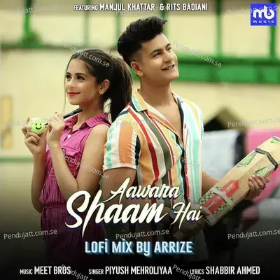 Aawara Shaam Hai - Lofi Mix - Meet Bros album cover 