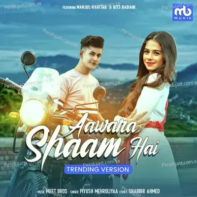 Aawara Shaam Hai - Trending Version - Meet Bros. album cover 