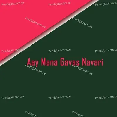 Aay Mana Gavas Navari - PARESH PAWAR album cover 