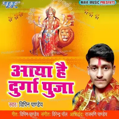 Aaya Hain Durga Pooja - Vipin Pandey album cover 