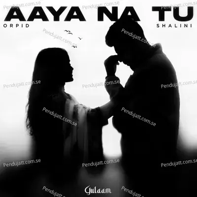 Aaya Na Tu - Orpid album cover 