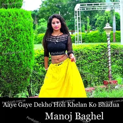 Aaye Gaye Dekho Holi Khelan Ko Bhadua - Manoj Baghel album cover 