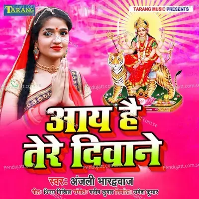 Aaye Hai Tere Deewane - Anjali Bhardwaj album cover 