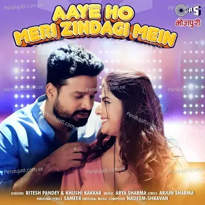 Aaye Ho Meri Zindagi Mein - Ritesh Pandey album cover 