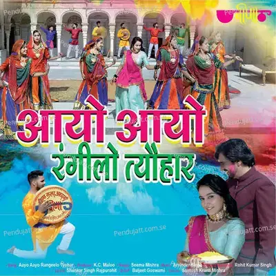 Aayo Aayo Rangilo Tyohar - Seema Mishra album cover 