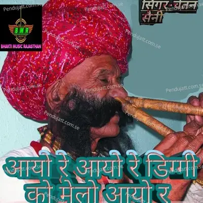 Aayo Re Aayo Re Diggi Ko Melo Aayo Re - Chetan Saini album cover 