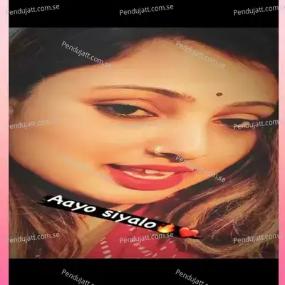 Aayo Siyalo - Shambhu Meena