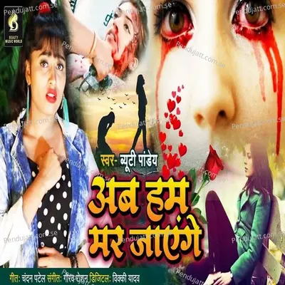 Ab Ham Mar Jaenge - Beauty Pandey album cover 