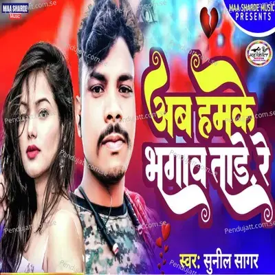 Ab Hamke Bhagawa Tar Re - Sunil Sagar album cover 