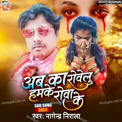 Ab Ka Rowelu Humke Rowa Ke - Nagendra Nirala album cover 